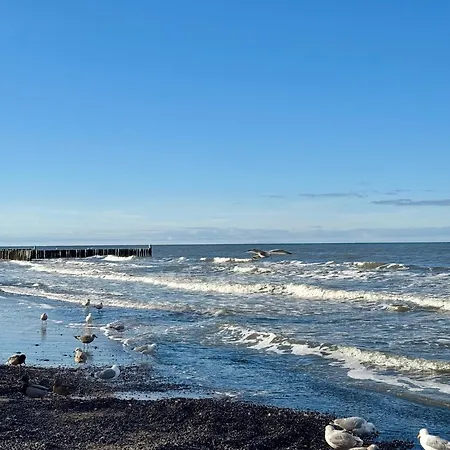 Morzlive B88 Komfortowy Nadmorski Bez Barier Z Tarasem I Sauną * Ustronie Morskie